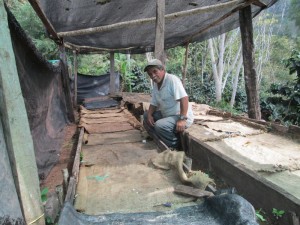 Pépinières volantes - Agroforesterie