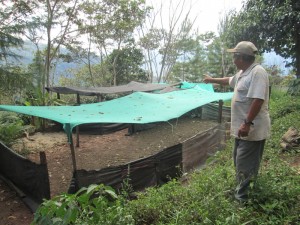 Pépinières volantes - Agroforesterie