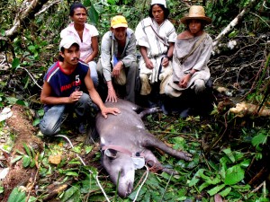 2012-03-Tapirs-DantaConTodos