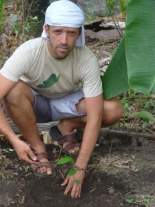 [NOYER] Boris en plantation. © B.Patentreger