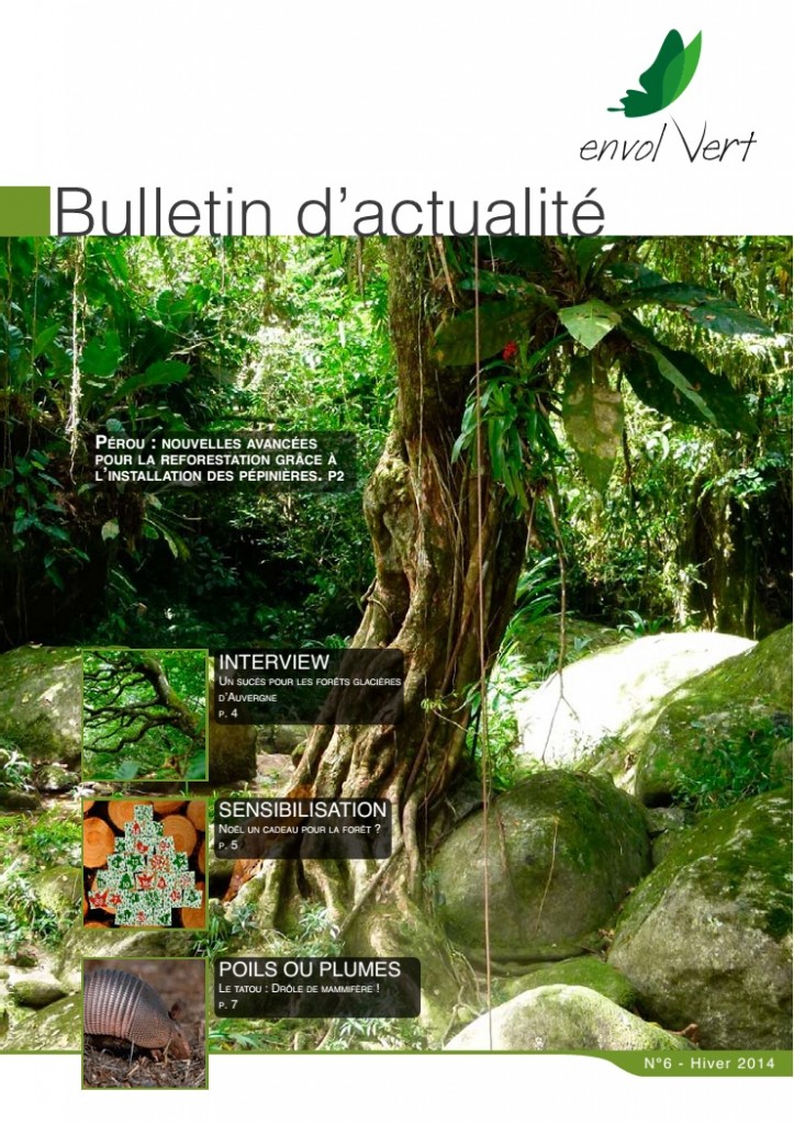 bulletin actualité n6