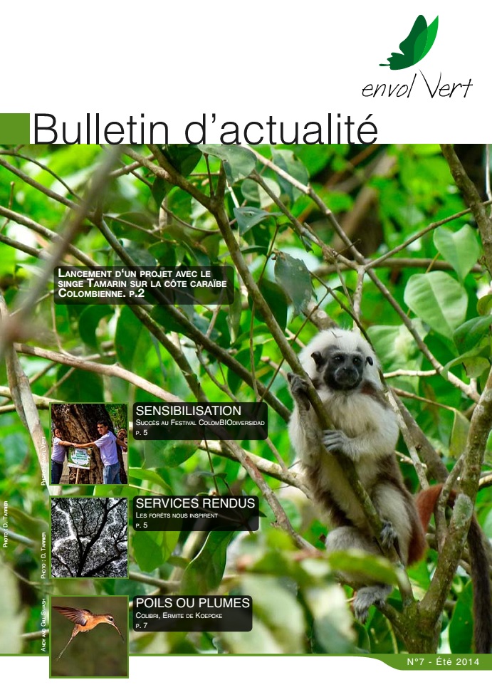 bulletin actualité N7