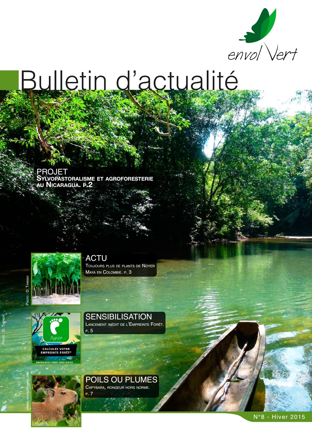 bulletin actualité N8