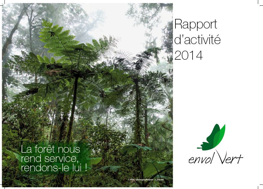 rapport d'activité 2014