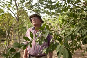 fF.Hallé ColomBIOdiversidad