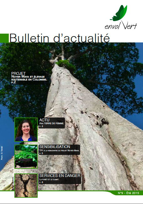 bulletin actualité N9 été 2015