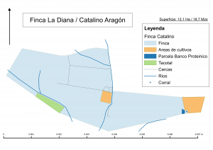 cartografia