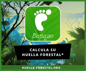 widget_quizz_empreinte_foret_esp