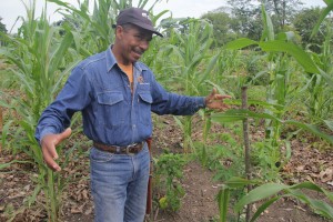 Victor en medio de plantaciones de yuca (© Jérôme Decoster).