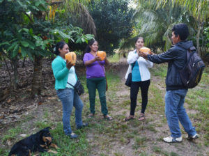 Pasantia Jackfruit © MANTUNES