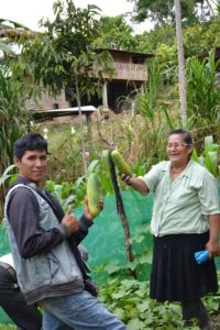 [AGROFO]Production2017Pampa Azangaro avec Julio et Selmira_Janvier2018@M.SARDA