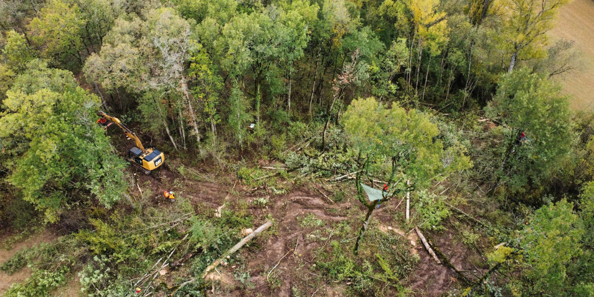 Déforestation dans le Tarn. Photo La Voie est Libre