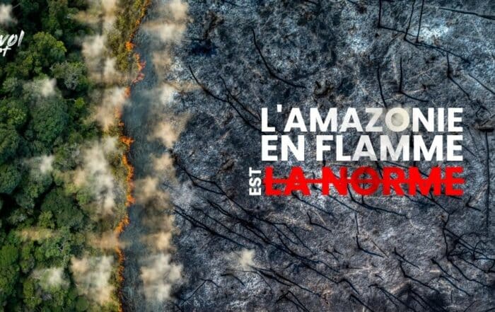 L'Amazonie en flamme n'est pas la norme